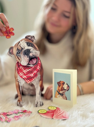 English Bulldog
