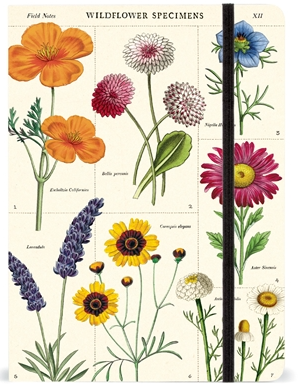Lg Notebook- Wildflowers