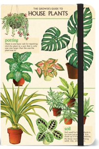Small Notebook- House Plants