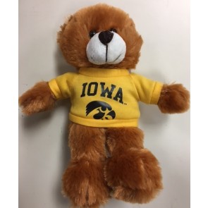 9" Iowa Hawkeye Bear