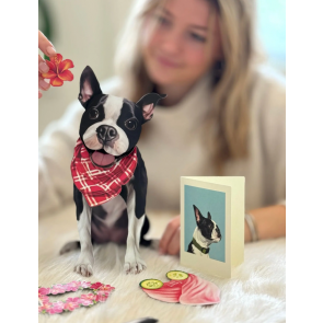 Boston Terrier