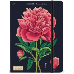 Lg Notebook- Botany
