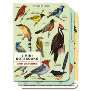 Mini Notebooks Set of 3- Bird Watching