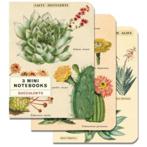 Mini Notebooks Set of 3- Succulents