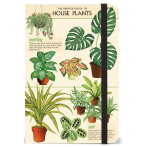 Small Notebook- House Plants